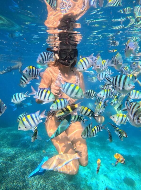 15562125-873E-40AA-8CF2-AE613BD41487