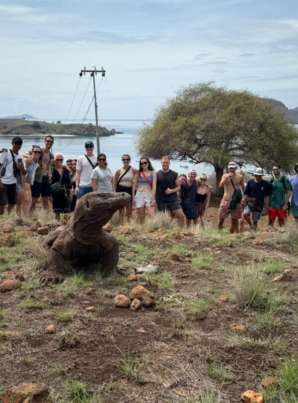 2cc0fd36-7087-4a4f-9250-5a3808ea1b58