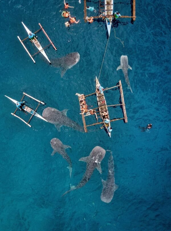 3B7448FB-5394-4B91-A0C9-AF7FA74D5D76