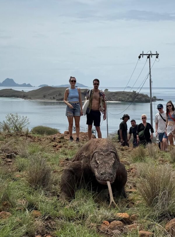 760e9833-3994-4508-b23a-ccbe65ba263b