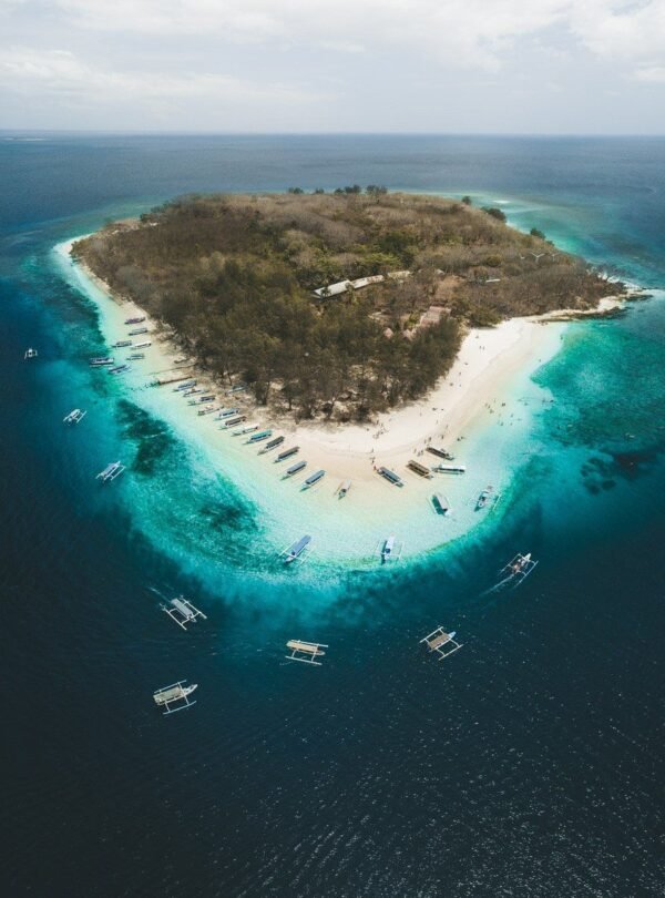 A0F7C879-F7FB-49EE-A609-217F384F18E5