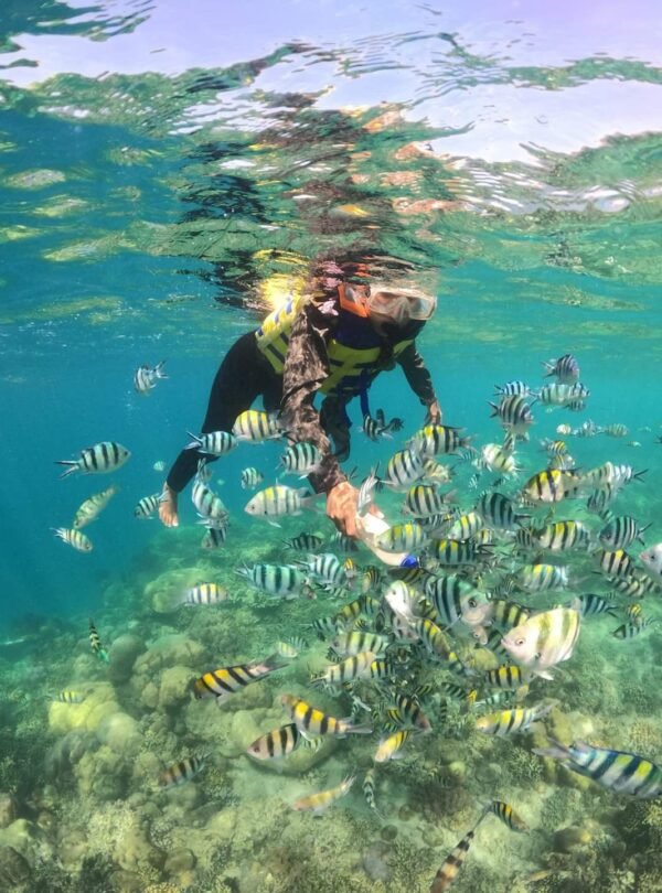 D24B9E12-EC72-4900-8AC7-6E202ADC2CC1