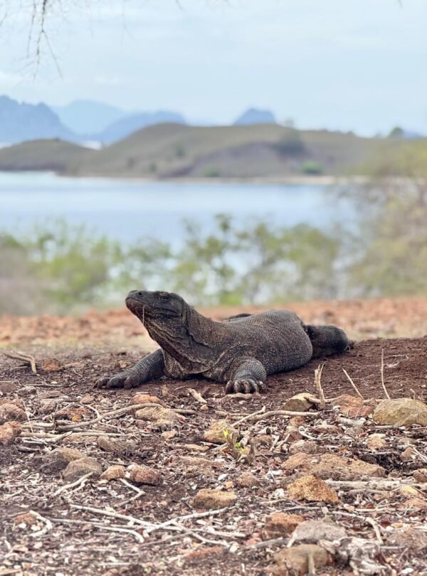 d468fb06-71d9-48a0-85e3-70727f47451f