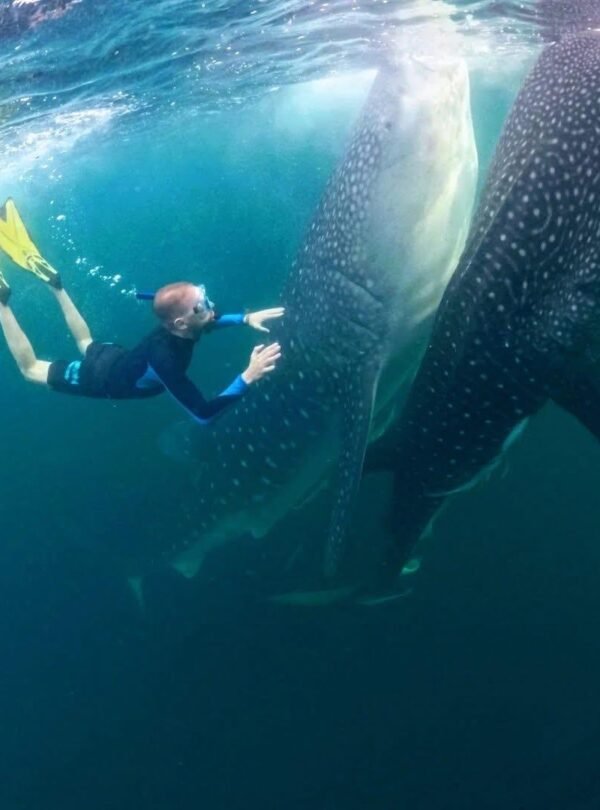 fe848efa-2007-48ab-9f0b-556da844a6e6